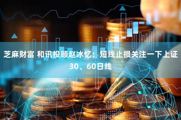 芝麻财富 和讯投顾赵冰忆：短线止损关注一下上证30、60日线