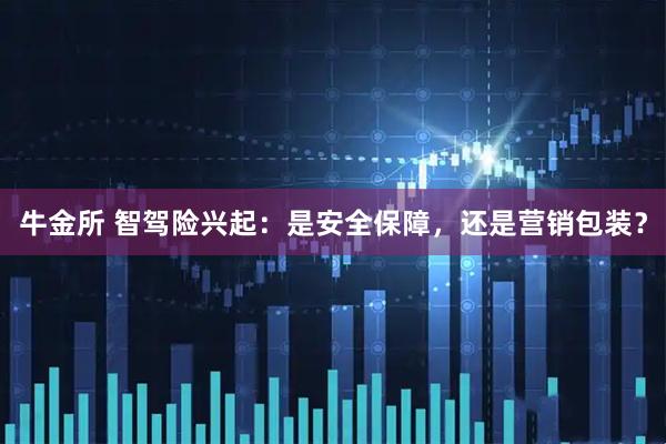 牛金所 智驾险兴起：是安全保障，还是营销包装？