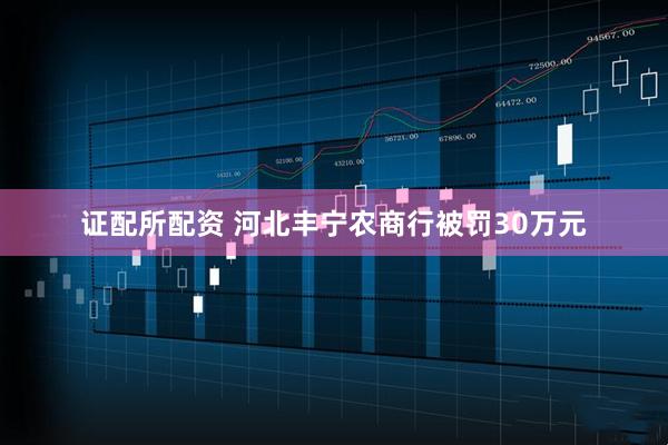 证配所配资 河北丰宁农商行被罚30万元