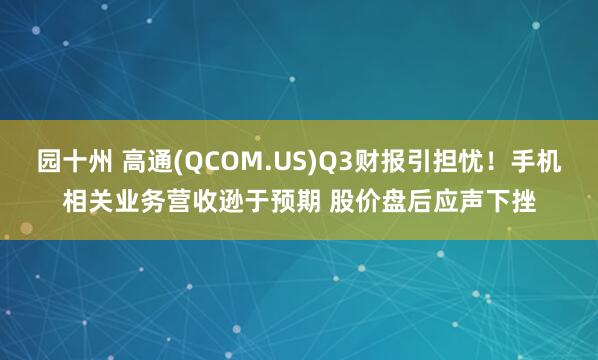 园十州 高通(QCOM.US)Q3财报引担忧！手机相关业务营收逊于预期 股价盘后应声下挫
