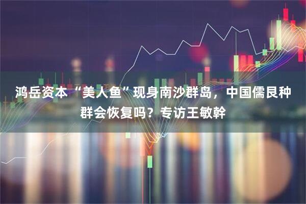 鸿岳资本 “美人鱼”现身南沙群岛，中国儒艮种群会恢复吗？专访王敏幹