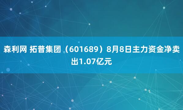 森利网 拓普集团（601689）8月8日主力资金净卖出1.07亿元