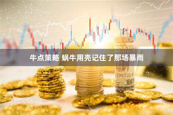 牛点策略 蜗牛用壳记住了那场暴雨