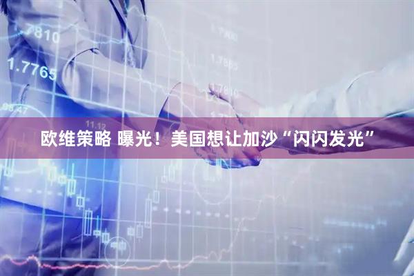 欧维策略 曝光！美国想让加沙“闪闪发光”